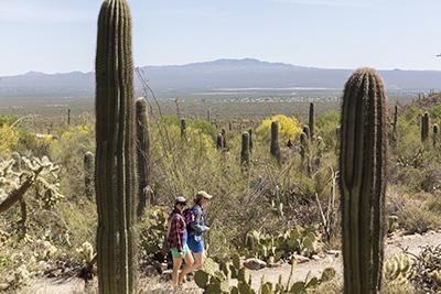 Two college students walk the museum grounds on a path surrounded by desert vegetation